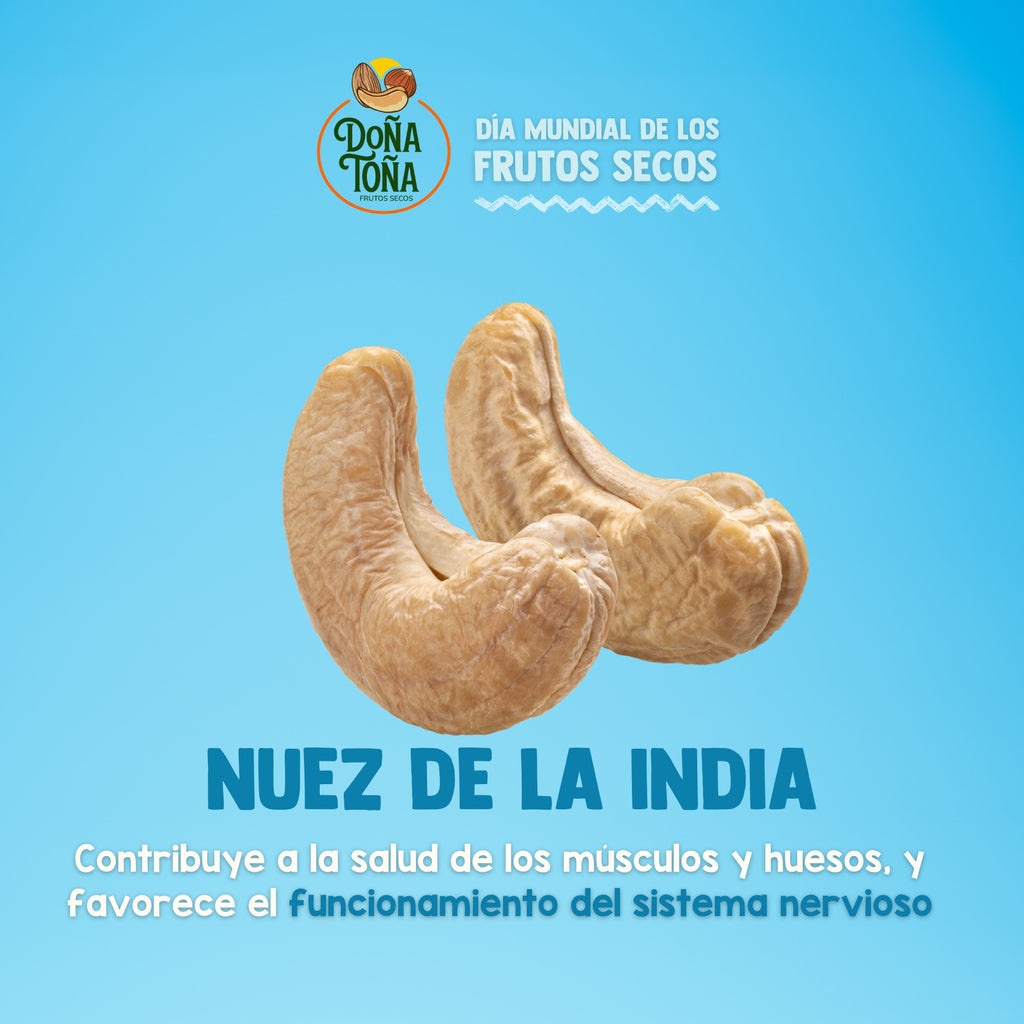 Nuez de la India 1kg | con sal de mar