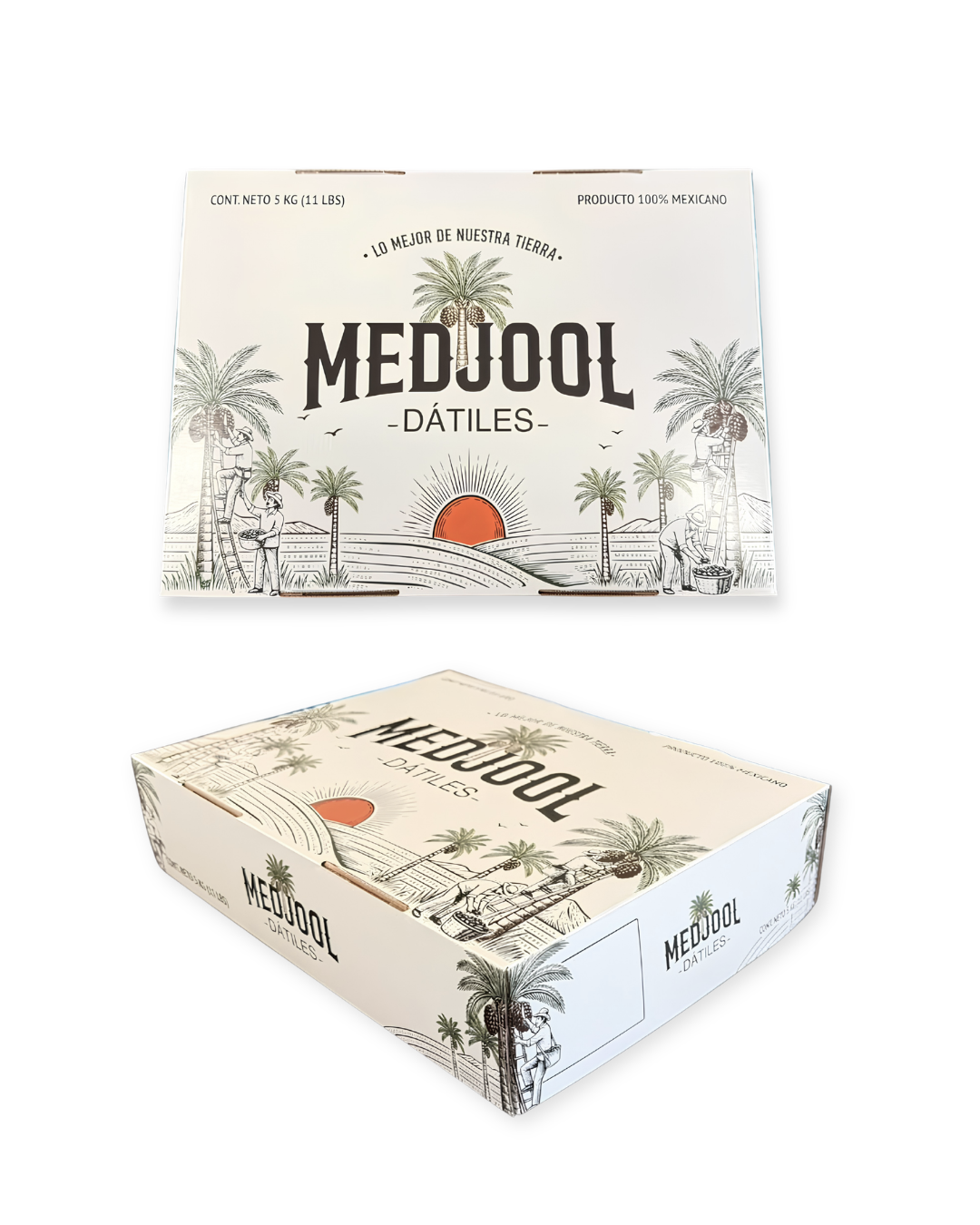 Caja Premium de Dátiles Medjool - 5 kg